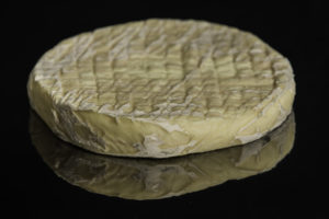 Saint Germier Fromage de brebis au lait cru Tarn